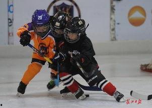 冰球小子2,梦想再燃，荣耀归来